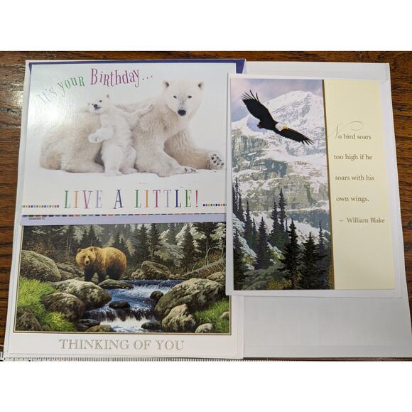 Lot 3 UNused Vintage Cards Southwest Wildlife Collection Federation Eagle Bears - Picture 1 of 4